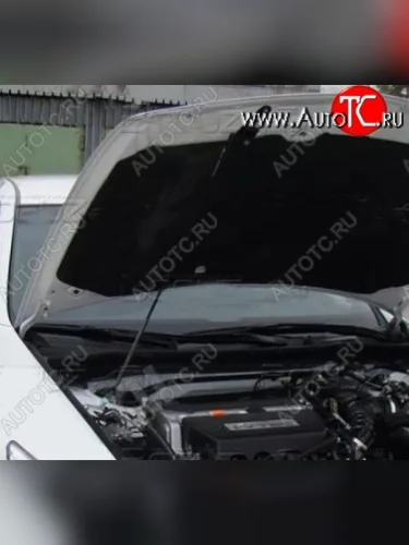 Газовый упор капота Tuning-Sport Honda Accord  8 CU (2008-2011) седан дорестайлинг