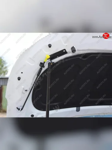 Газовый упор капота Tuning-Sport KIA Rio  3 QB (2011-2017) дорестайлинг седан, хэтчбек 5 дв. дорестайлинг, хэтчбек 5 дв. рестайлинг