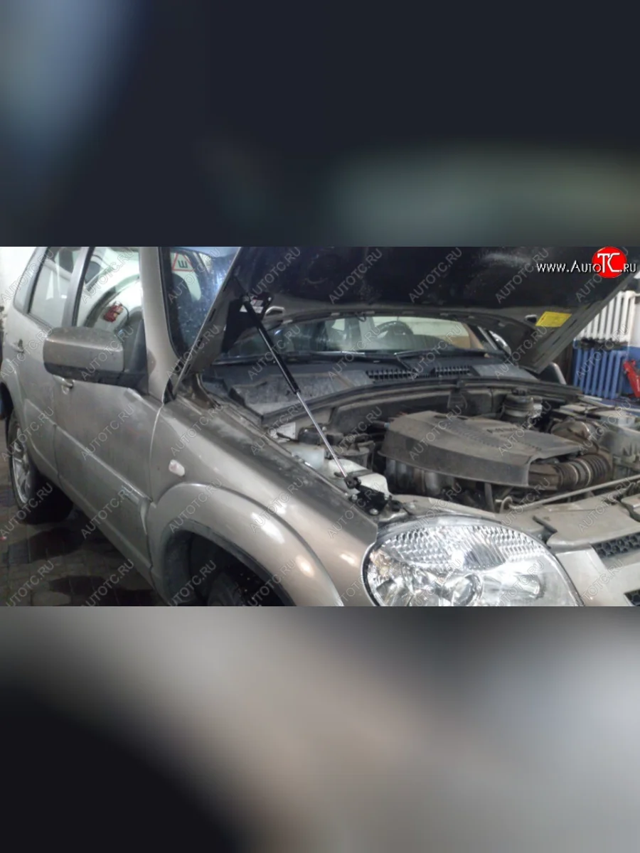 Газовый упор капота Tuning-Sport  Chevrolet Niva (2009-2020), Лада ВАЗ 2123 (Нива Шевроле) (2002-2021)  с доставкой в г. Керчь