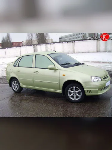 Комплект молдингов (4 шт.) Камея на двери Лада ВАЗ Калина ( 1118,  1117,  1119) - Калина Спорт  1119