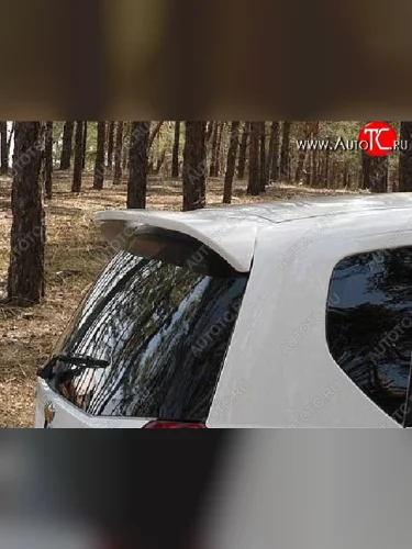 Спойлер CT Chevrolet Aveo T200 хэтчбек 5 дв (2002-2008)