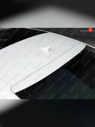 Козырёк на заднее стекло Tuning-Sport Audi A5  8T (2007-2011) дорестайлинг, лифтбэк