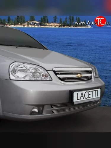 Декоративные вставки решетки радиатора Souz-96 Chevrolet Lacetti ( седан,  универсал) (2002-2013)