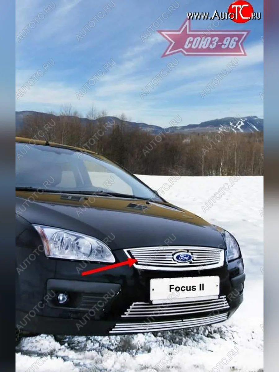 Декоративный элемент решетки радиатора Souz-96 (d10) Ford Focus 2 хэтчбэк 3 дв. дорестайлинг (2004-2007)  в Керчи Республика Крым