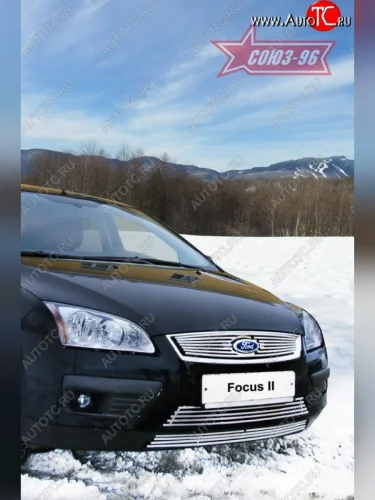 Декоративные вставки воздухозаборника в бампер Souz-96 Ford Focus 2 хэтчбэк 3 дв. дорестайлинг (2004-2007)