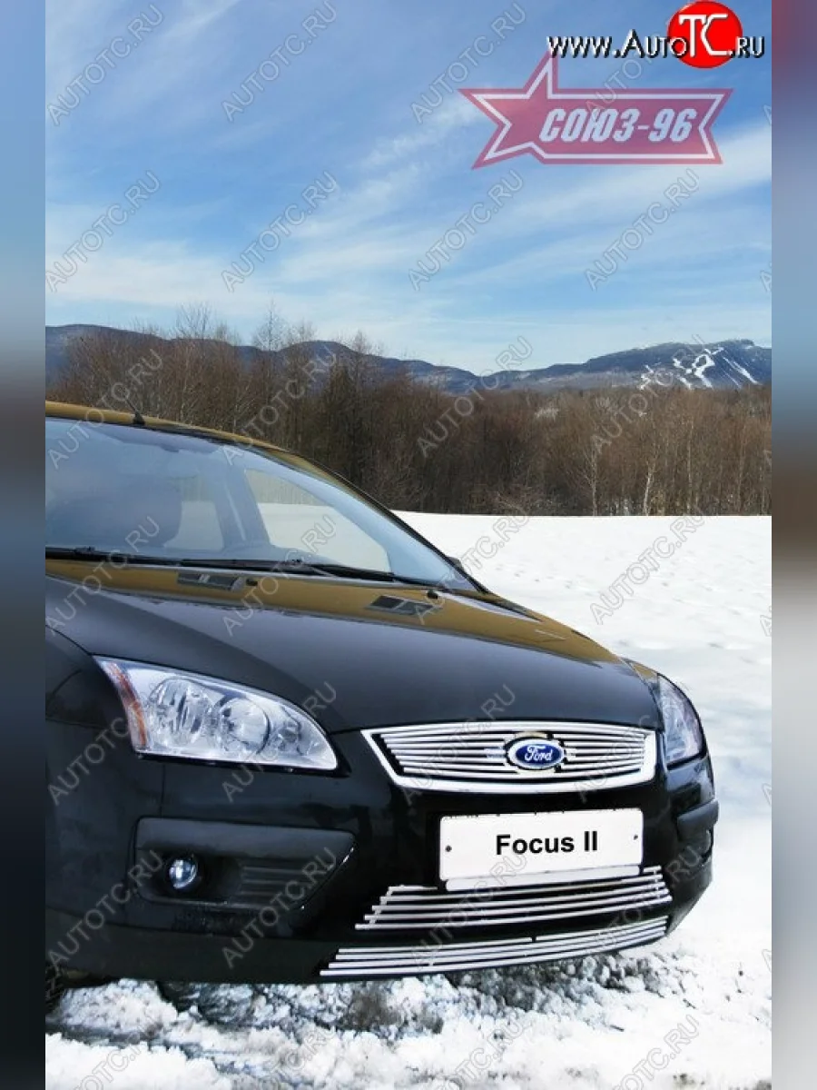 Декоративные вставки воздухозаборника в бампер Souz-96 Ford Focus 2 хэтчбэк 3 дв. дорестайлинг (2004-2007)  в Керчи Республика Крым