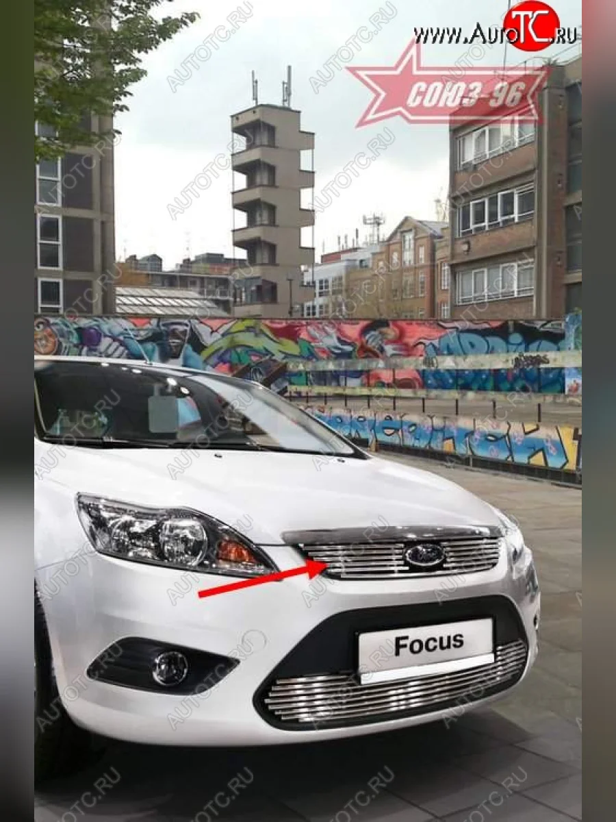 Декоративный элемент решетки радиатора Souz-96 (d10) Ford Focus 2 хэтчбэк 3 дв. рестайлинг (2007-2011)  с доставкой в г. Керчь