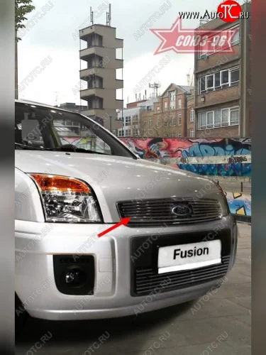 Декоративный элемент решетки радиатора Souz-96 (d10) Ford Fusion 1 хэтчбэк дорестайлинг (2002-2005)