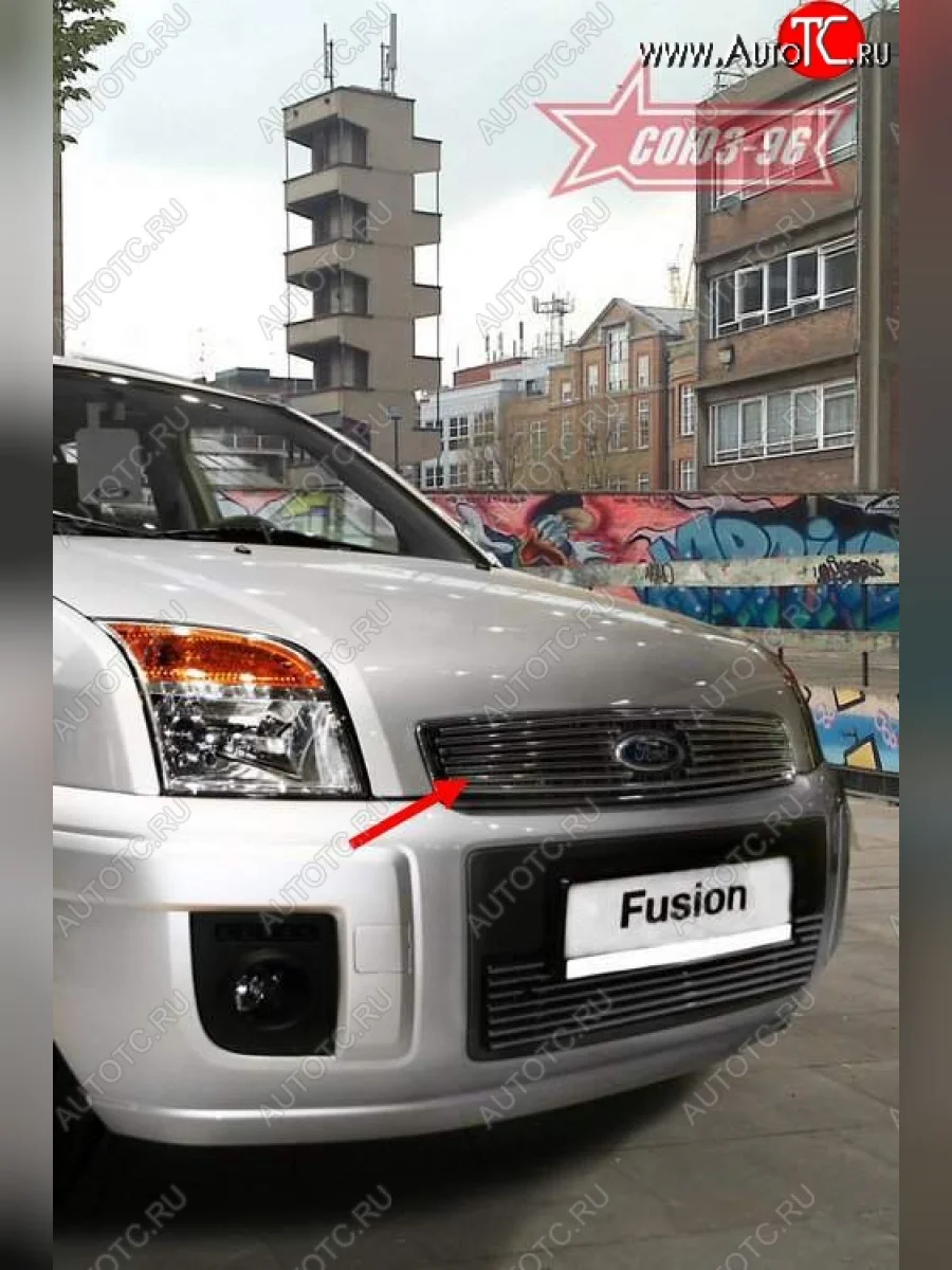 Декоративный элемент решетки радиатора Souz-96 (d10) Ford Fusion 1 хэтчбэк дорестайлинг (2002-2005)  с доставкой в г. Керчь