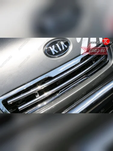 Декоративный элемент решетки радиатора Souz-96 (d16) KIA Soul  AM (2008-2011) дорестайлинг