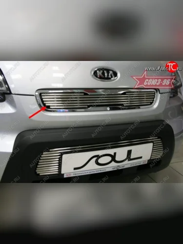 Декоративный элемент решетки радиатора Souz-96 (d10) KIA Soul  AM (2008-2011) дорестайлинг