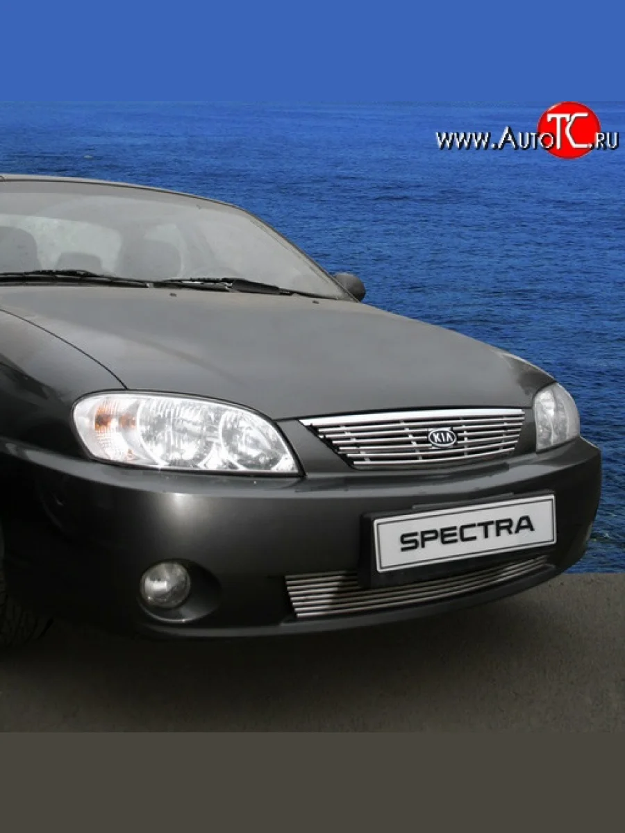 Декоративная вставка решетки радиатора Novline KIA Spectra (2000-2009)  в Керчи Республика Крым