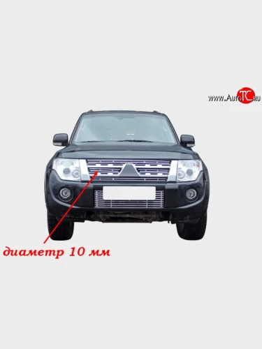 Декоративная вставка в решетку радиатора Souz-96 (диаметр 10 мм) Mitsubishi Pajero ( 4 V90,  4 V80) (2011-2015) 1-ый рестайлинг, 3 дв. 1-ый рестайлинг