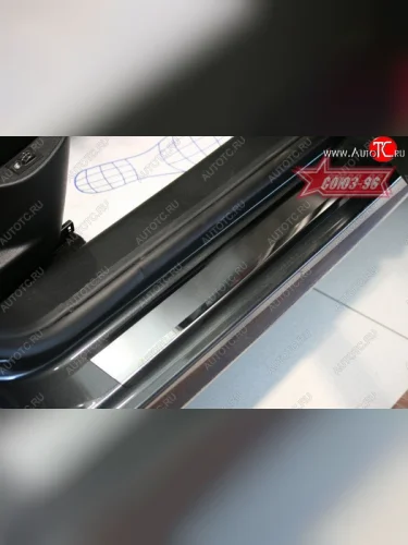 Накладки на внутренние пороги Souz-96 5-дв. (без логотипа) Peugeot 207 WC хэтчбэк 5 дв. дорестайлинг (2006-2009)