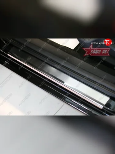 Накладки на внутренние пороги Souz-96 Peugeot 407 ( седан,  универсал) (2004-2011)