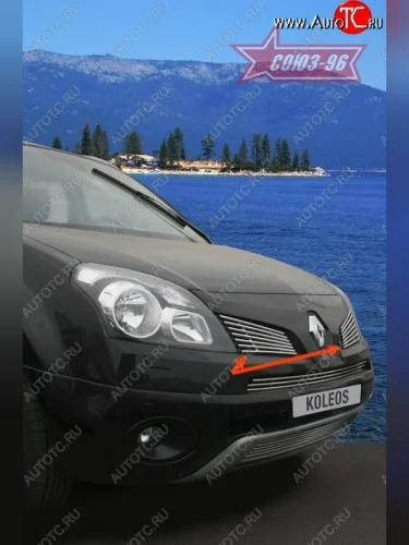 Декоративные элементы решетки радиатора Souz-96 (d10) Renault Koleos (2007-2011) Phase 1