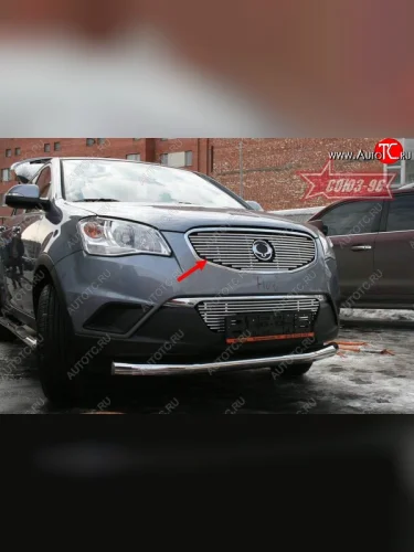 Декоративный элемент решетки радиатора Souz-96 (d10) SSANGYONG Actyon дорестайлинг (2010-2013)