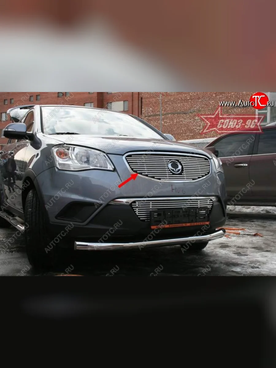 Декоративный элемент решетки радиатора Souz-96 (d10) SSANGYONG Actyon дорестайлинг (2010-2013)  с доставкой в г. Керчь