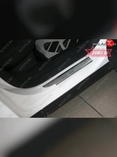 Накладки на внутренние пороги Souz-96 (без логотипа) Volkswagen Passat  B6 (2005-2011) седан, универсал