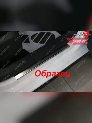 Накладки на внутренние пороги Souz-96 (без логотипа) Volkswagen Touran  1T (2003-2006) дорестайлинг минивэн