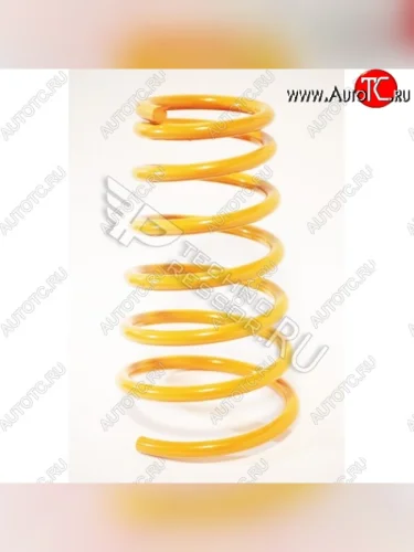 Комплект задних пружин с занижением -50 ммТехно Рессор (Технорессор) Hyundai Accent  2 LC (1999-2012) седан дорестайлинг (ТагАЗ)