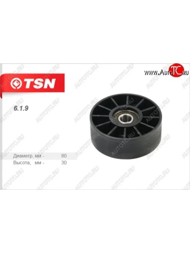 Ролик натяжителя без кронштейна (дв.ЗМЗ 406/405/409) TSN ГАЗ Баргузин 2217 автобус 2-ой рестайлинг (2010-2025)