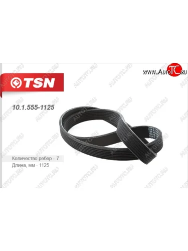 Ремень поликлиновой TSN Renault Scenic 2 (2003-2009)