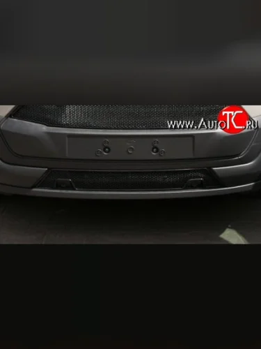 Сетка на бампер Novline Ford Tourneo Custom дорестайлинг (2012-2018)