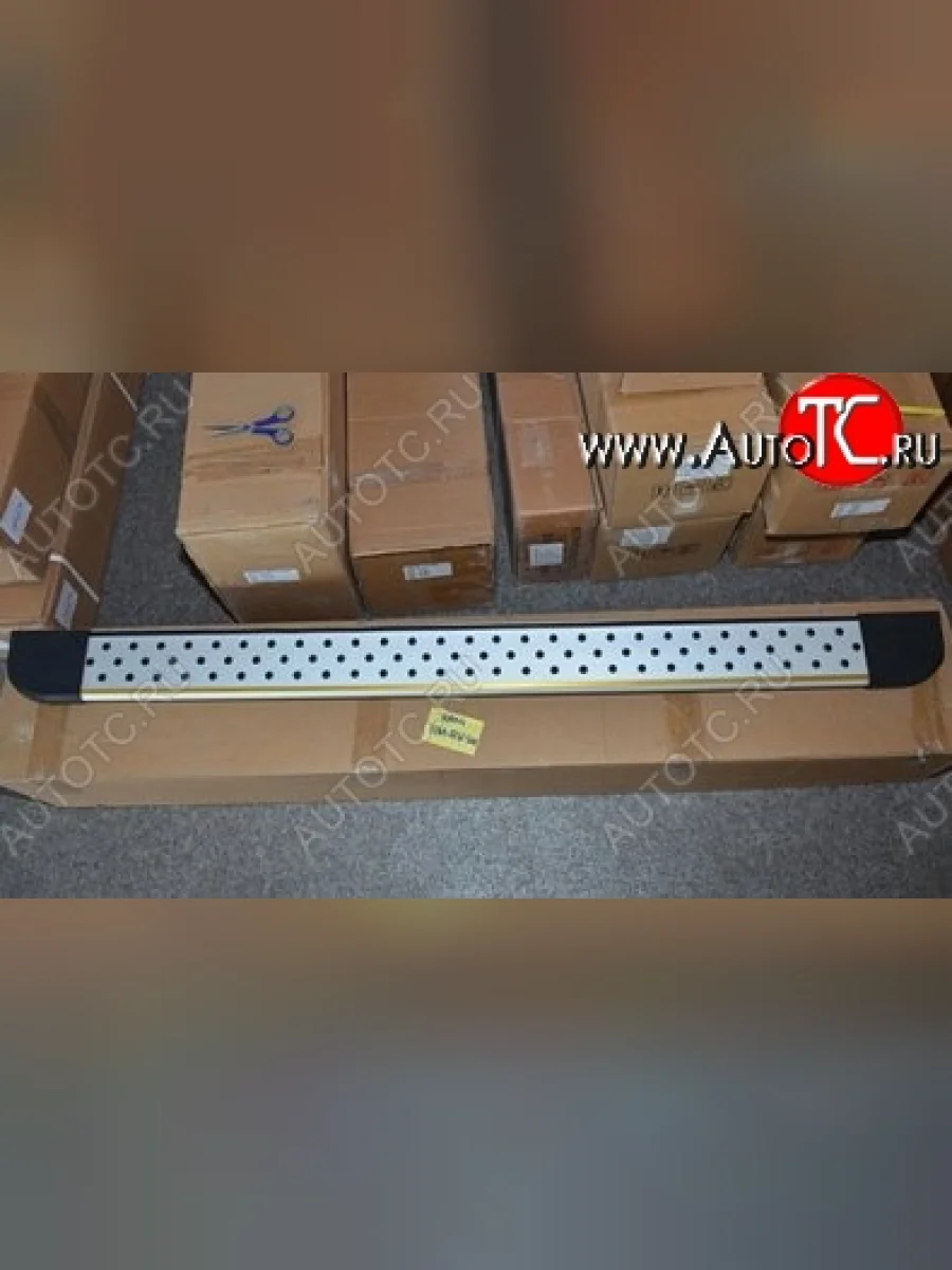 Пороги для ног BMW Style (короткая база) Toyota RAV4 XA305 5 дв. дорестайлинг (2005-2009)  в Перми Пермском крае