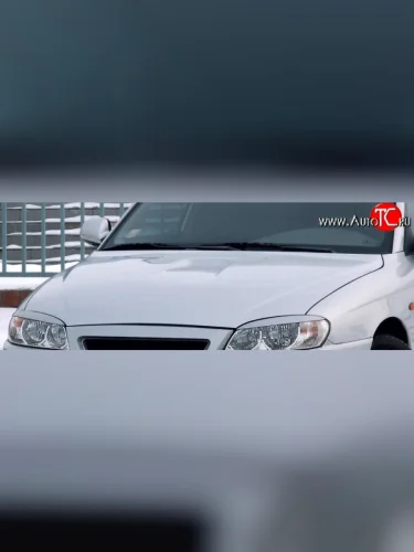 Капот Стандартный (Окрашенный) KIA Spectra (2000-2009)