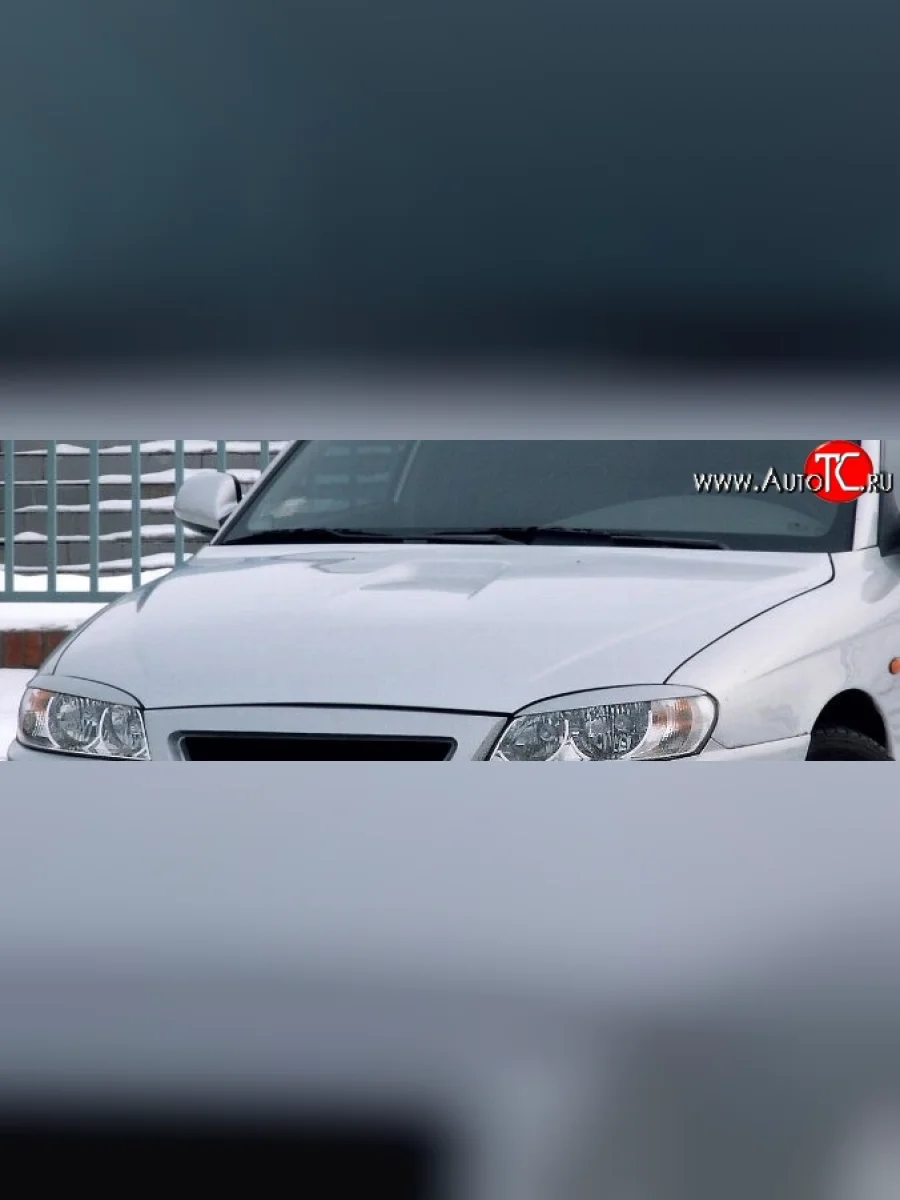 Капот Стандартный KIA Spectra (2000-2009) (Окрашенный)  в Самаре Самарской области