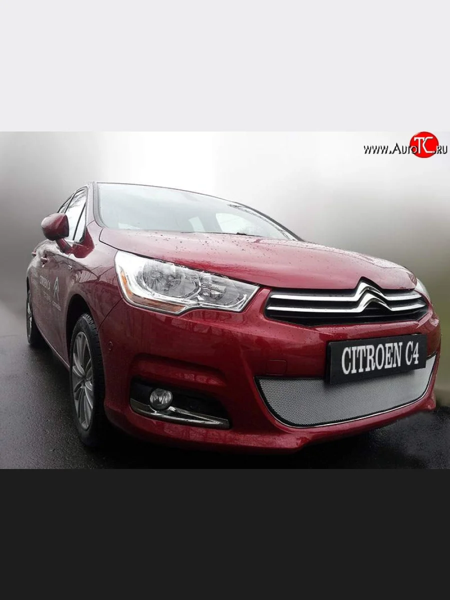 Сетка на бампер внешняя Autofamily , 10 мм CITROEN C4 B7 хэтчбэк 5 дв. (2011-2018) (Хром)  в Перми Пермском крае
