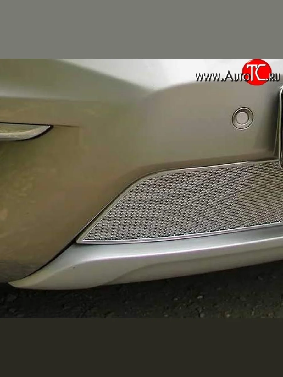 Сетка в бампер Autofamily (10 мм.) Renault Koleos 1 Phase 2 (2011-2013) (Хром)  в Керчи Республика Крым