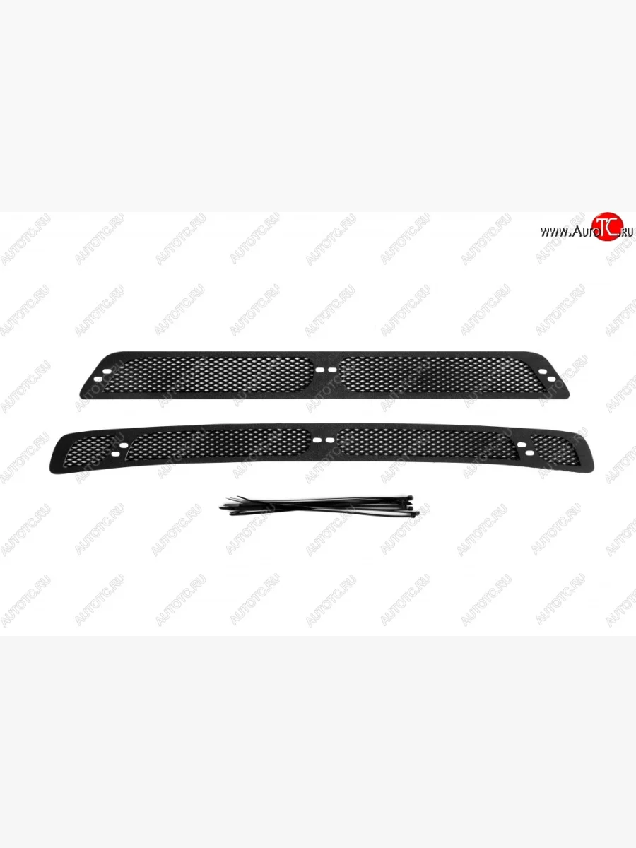 Защитная сетка решетки переднего бампера РА Ford Focus 2 хэтчбэк 3 дв. дорестайлинг (2004-2007)  с доставкой в г. Керчь