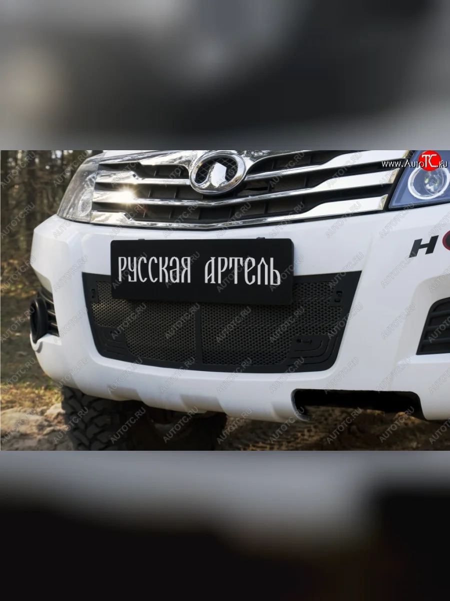 Защитная сетка решетки переднего бампера РА Great Wall Hover H3  дорестайлинг (2010-2014)  в Керчи Республика Крым