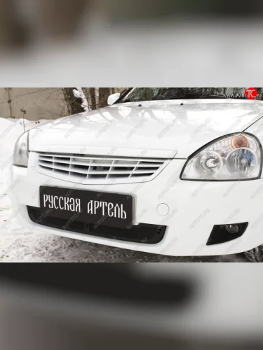 Защитная сетка решетки переднего бампера (рестайлинг) РА Лада ВАЗ Приора  2172 (2008-2014) хэтчбек дорестайлинг