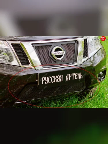 Защитная сетка решетки переднего бампера РА Nissan Terrano  D10 (2013-2022) дорестайлинг, рестайлинг