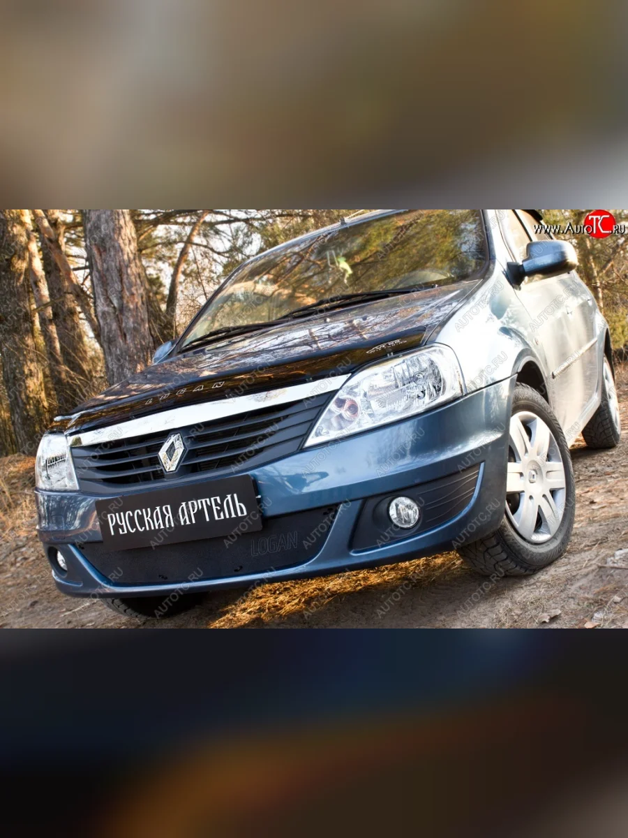 Защитная сетка решетки переднего бампера РА Renault Logan 1 рестайлинг (2010-2016)  в Воронеже Воронежской области
