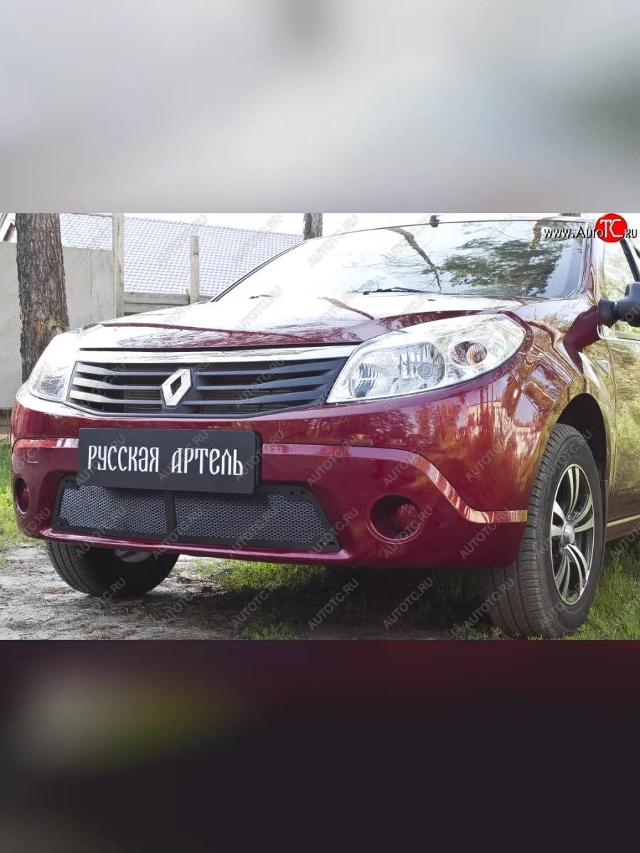 Защитная сетка решетки переднего бампера РА Renault Sandero 1 (2009-2014)  в Керчи Республика Крым