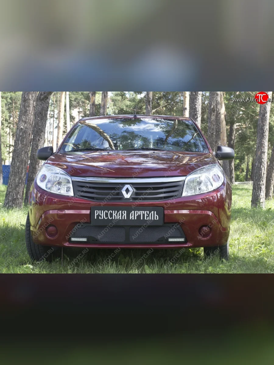 Защитная сетка решетки переднего бампера (с ДХО) РА Renault Sandero 1 (2009-2014)  в Керчи Республика Крым
