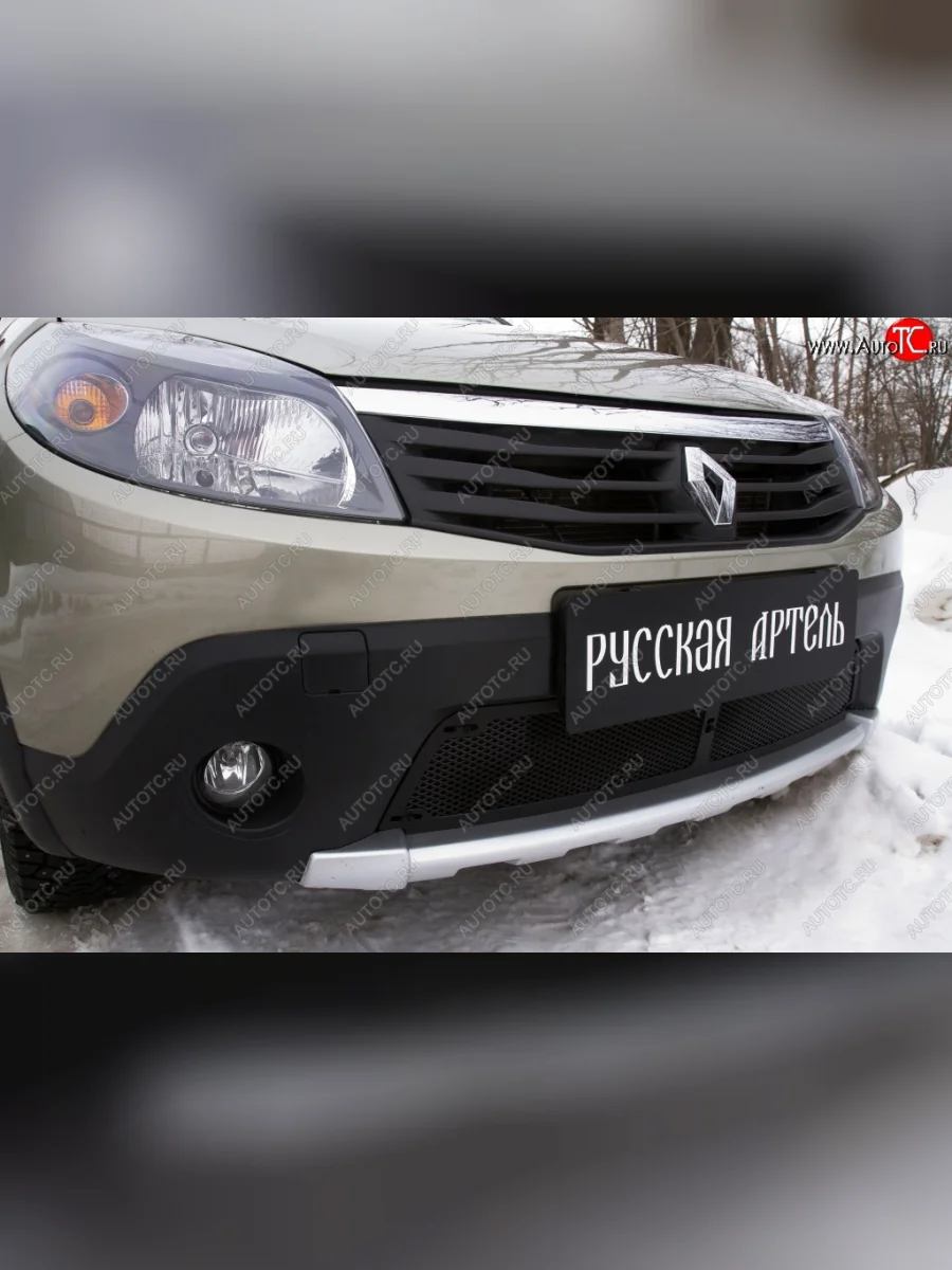 Защитная сетка решетки переднего бампера РА Renault Sandero Stepway 1 (2010-2014)  в Самаре Самарской области