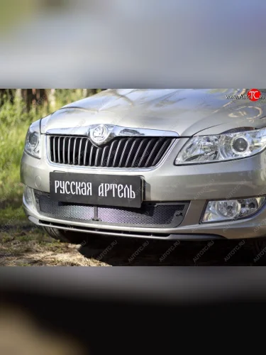 Защитная сетка решетки переднего бампера РА Skoda Fabia Mk2 универсал рестайлинг (2010-2014)