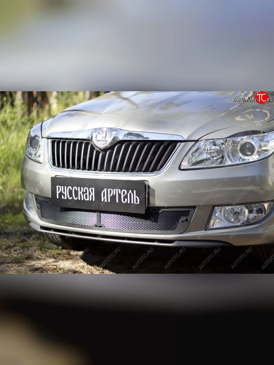 Защитная сетка решетки переднего бампера РА Skoda Fabia Mk2 универсал рестайлинг (2010-2014)  с доставкой в г. Керчь