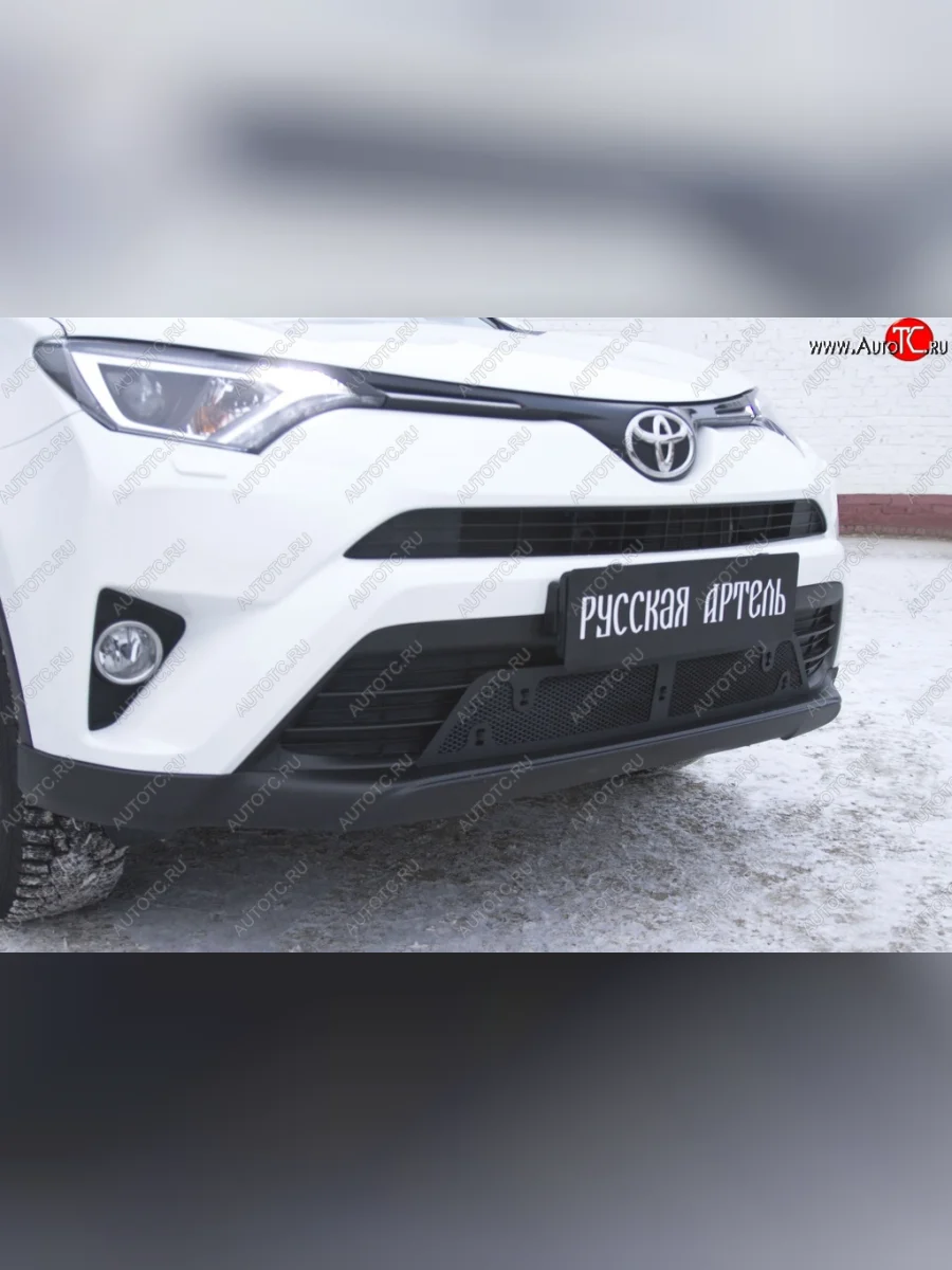 Защитная сетка решетки переднего бампера РА Toyota RAV4 XA40 5 дв. рестайлинг (2015-2019)  в Самаре Самарской области