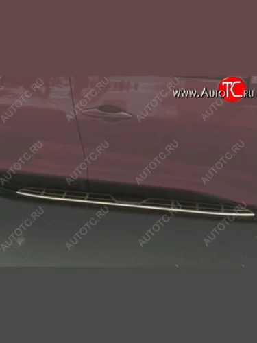 Пороги CT Ford EcoSport дорестайлинг (2013-2019)