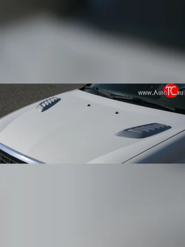 Накладки на капот Style v1 Audi A8 D3 дорестайлинг (2002-2005)