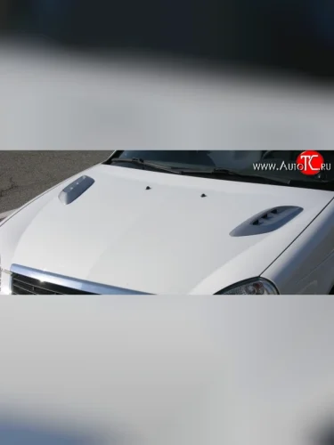 Накладки на капот Style v2 Audi A8 D3 дорестайлинг (2002-2005)