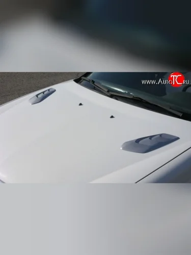 Накладки на капот Style v3 Audi A8 D3 дорестайлинг (2002-2005)