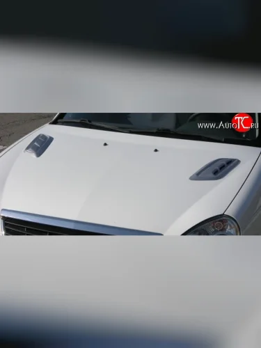 Накладки на капот Style v4 Audi A8 D3 дорестайлинг (2002-2005)