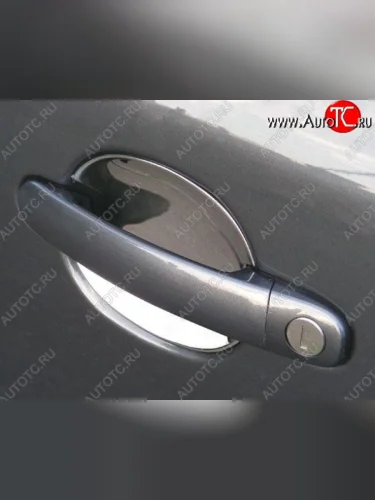 Накладки под ручки дверей (мыльницы) СТ Ford Kuga 2 дорестайлинг (2013-2016)